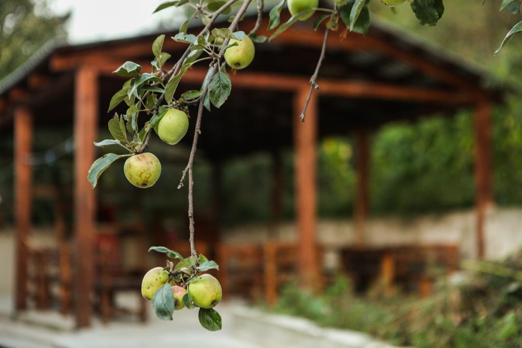 Guest House Dilijan Orran Екстериор снимка